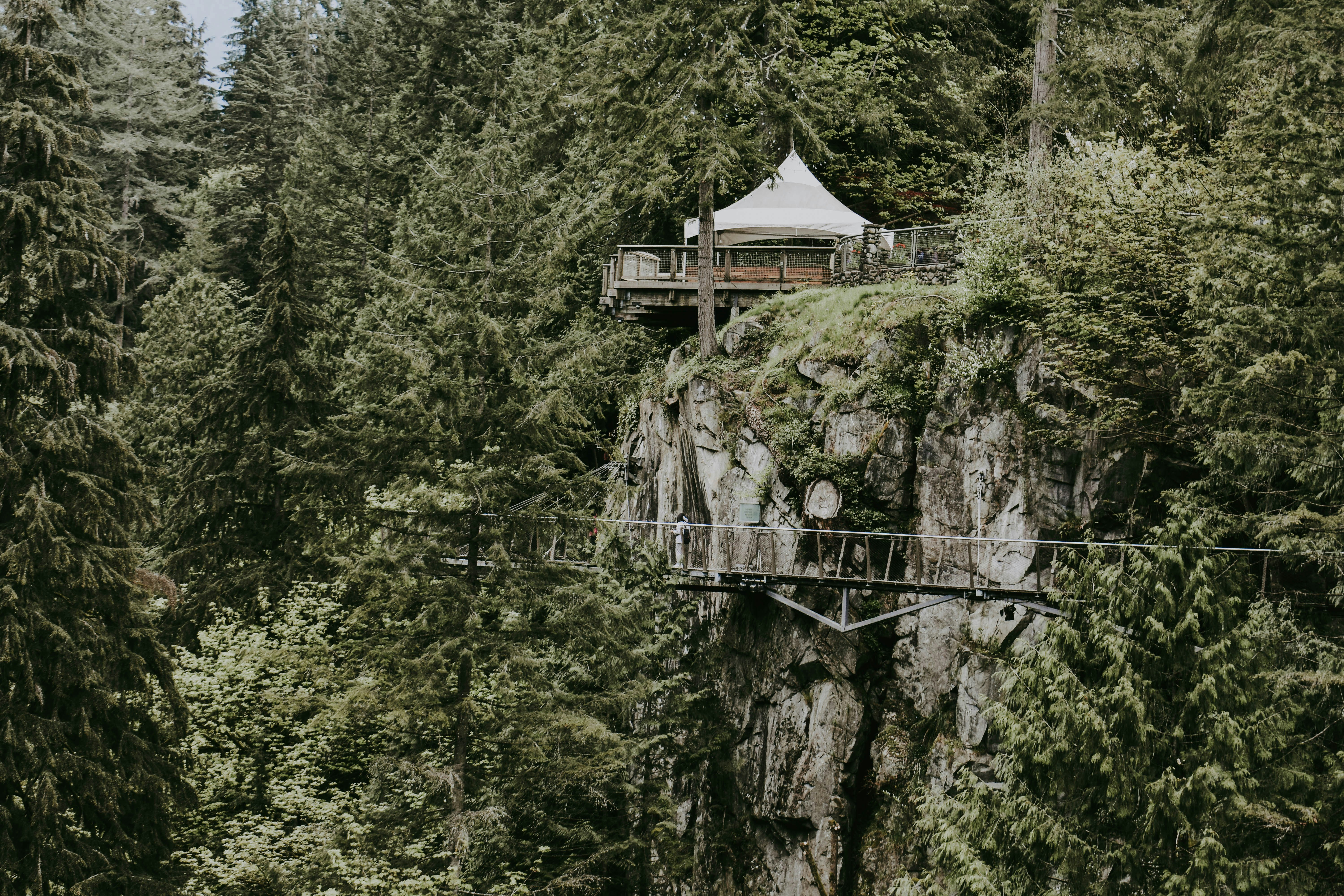 white canopy tent surrounded by green trees